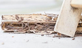 Quiet Resorts Termite Removal Experts